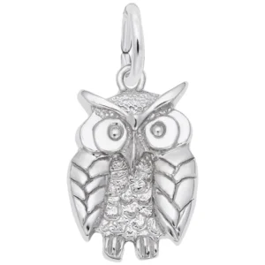 Wise owl charm.